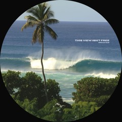 THE VIEW ISN'T FREE - dream dub