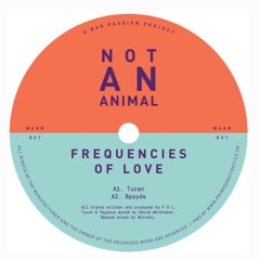 DC Promo Tracks: Frequencies Of Love "Tucan"