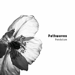 PREMIERE: Pathwaves - Displacement