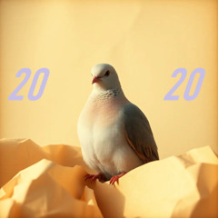2020 right  sock