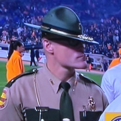 license and pigmentation