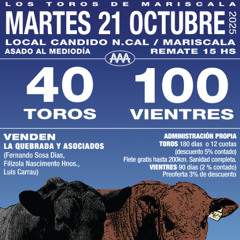 Pablo Barreto - Toros en Mariscala