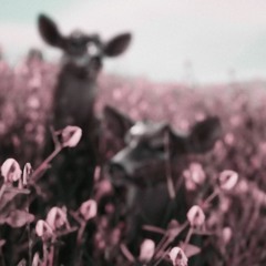 130 MILES (featuring Tieren Costello)