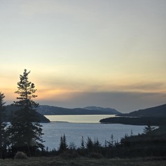 sideways playing cards