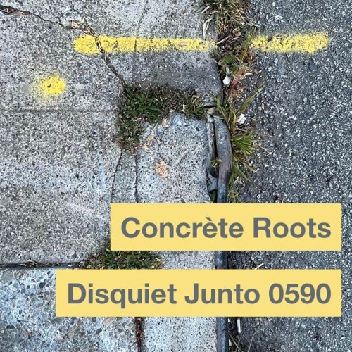 halF concrètE [disquiet0590]