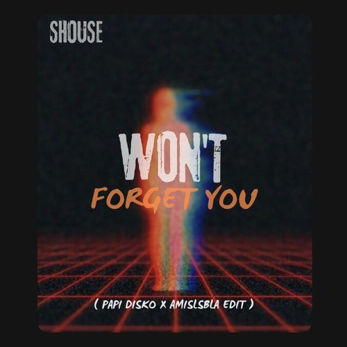 Shouse - Won't forget you ( Papi disko x Amislsbla Edit )