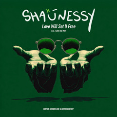Love Will Set U Free - Shaunessy (C & Z Love Day Mix)