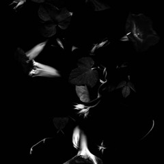 MOO$ - TECHNO MIX.2.WAV