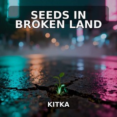 Seeds In Broken Land
