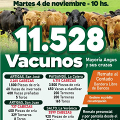 Jorge Muñoz - Liquidación de Conexión Ganadera