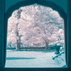 Chron0s - Monochromatic