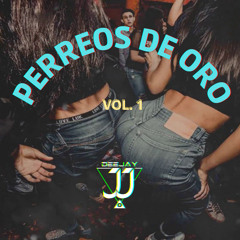 PERREOS DE ORO CON DJ JJ