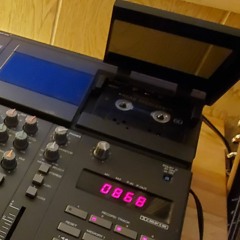 Cape May ((Ollie, shut the door))