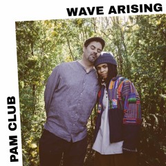 PAM Club : Wave Arising