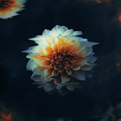 Liquid Dream