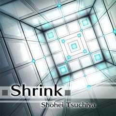 Shohei Tsuchiya (ZUNTATA) - Shrink