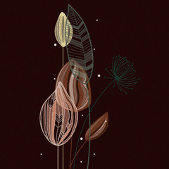 Kernels