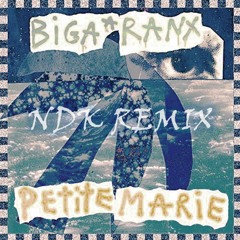 Biga Ranx - Petite Marie (NDK remix) FreeDL