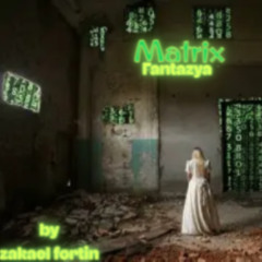Matrix