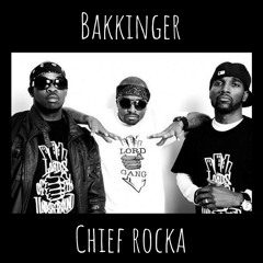 Lords of the Underground - Chief Rocka (Bakkinger's Shocking Response Remix) [Free Download]