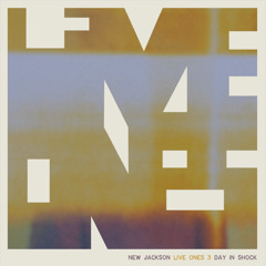 DAY IN SHOCK (DAY ONE VERSION) [feat. Fehdah]