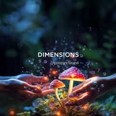 Dimensions /connections
