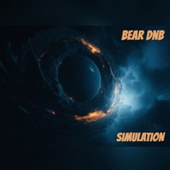 SIMULATION
