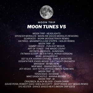 Moon Tunes Vol. 5 artwork