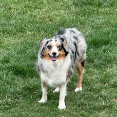 Zach Bryan - Late July (Interpolation)