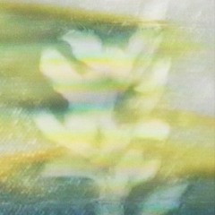 Song of the Lark (Mix)