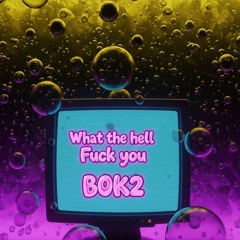 What The Hell? , Fuck You BOK2!