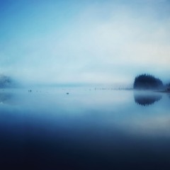 Mists in the realm