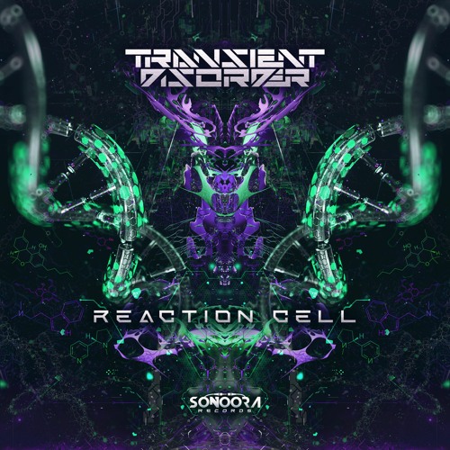 Transient Disorder - Reaction Cell ( Sonoora Records )