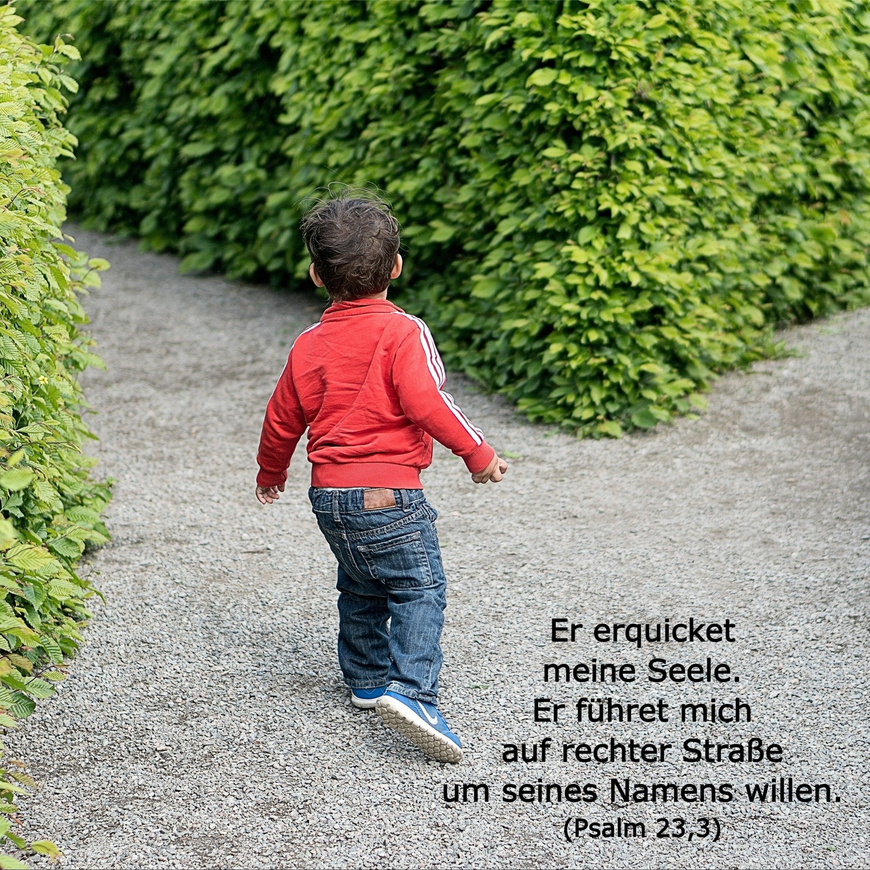 In einem Jahr durch die Bibel