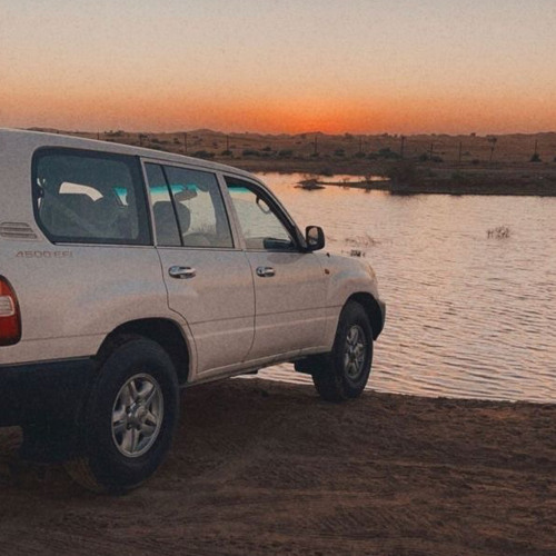 ويـن تـروح بـطـىء | حكيم يوسف