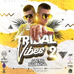 TRIBAL VIBES 2 MIXED LIVE BY ALEJO BARBOSA (2020)