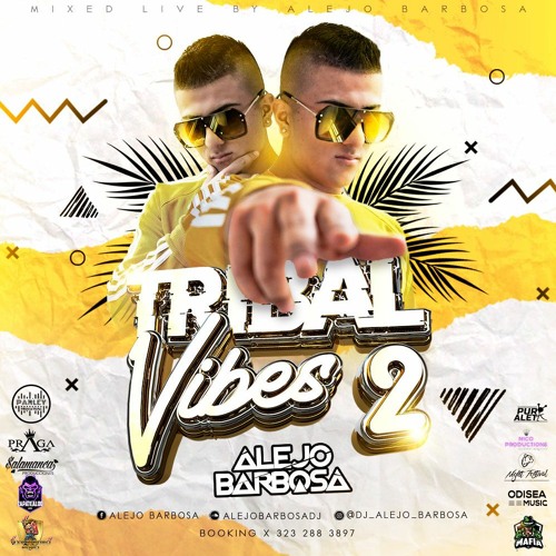 TRIBAL VIBES 2 MIXED LIVE BY ALEJO BARBOSA (2020)