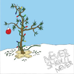 Crystal Cross - Never Shout Never - 30 Days (Cover)