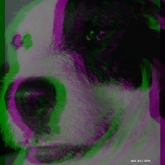 Dam Dadi Doo - Parallax Remix (Raw Mix)