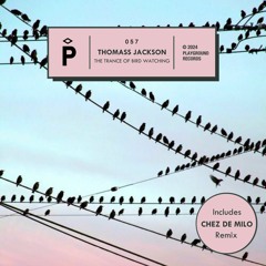 PREMIERE: Thomass Jackson - The Trance Of Bird Watching (Chez de Milo Remix) [Playground Records]
