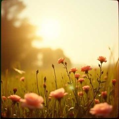 Danny Boy (female vocals)