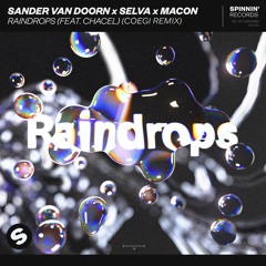 Sander van Doorn x Selva x Macon feat. Chacel - Raindrops (Coegi Extended Remix)