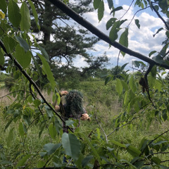 Ils ne passeront pas