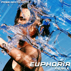 Euphoria [TDJ] [Remix]