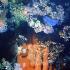 La Mer Intérieure