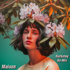 Emilio piano feat Lucie - Maison (Narkoteq Re-Mix)