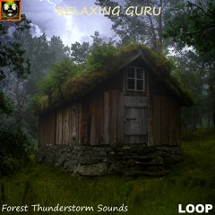 Relaxing Rain and Thunder on a Wooden Hut deep in the Forest - Thunderstorm Sounds for Sleep (LOOP)