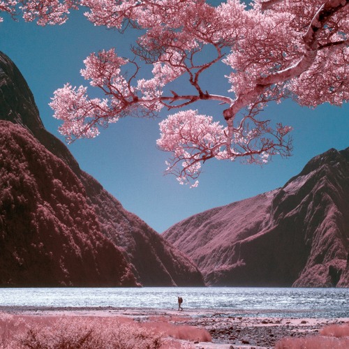 fugue, junerule - identity (feat. John Thacker)