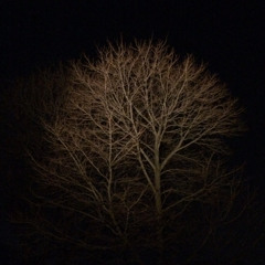 Caroline Demo A2 Sawyer v1 rough mix