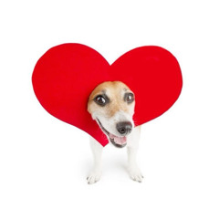 a song about dead love